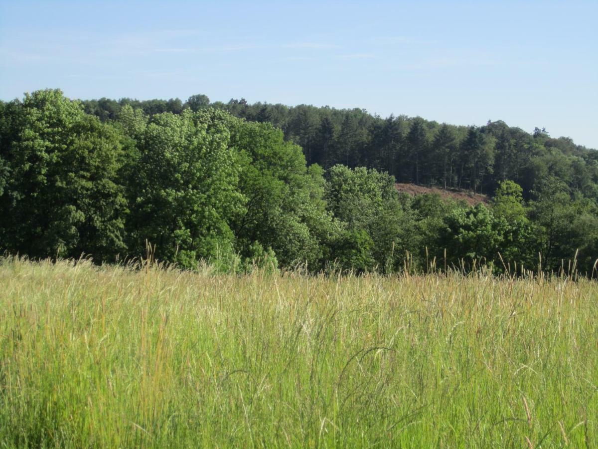 Ferienwohnung Erlenhof Engelskirchen Luaran gambar